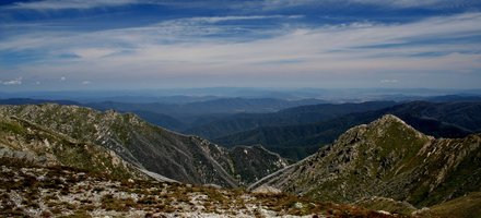 Alps And Eucalypt Forests Of South East Australia
