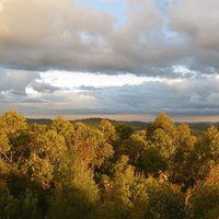 Yengo National Park