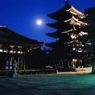 Ancient Nara by Rob Wilson