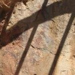 Rock Art of the Mediterranean Basin by David Berlanda