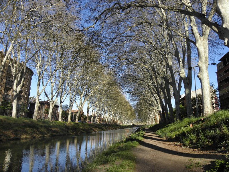 Canal du Midi by Els Slots