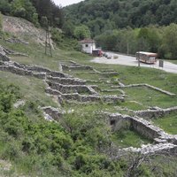 Stari Ras
