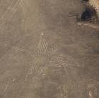 Nasca Lines by Joyce van Soest