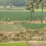 Cultural Landscape of Mahasthan and Karatoya River by Els Slots