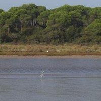 Donana National Park by Ian Cade
