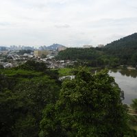 FRIM Botanical Garden from Skywalk