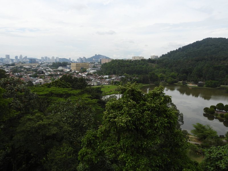 The FRIM Botanical Garden with the Kuala Lumpur cityscape i the background