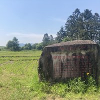 Plaque at Mount Wuyi (Han site)