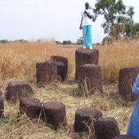 Stone Circles of Senegambia by Ian Cade