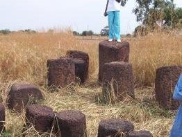 Stone Circles of Senegambia by Ian Cade