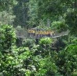 Kakum National Park by Els Slots