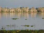 Selous Game Reserve by Monika and Rini
