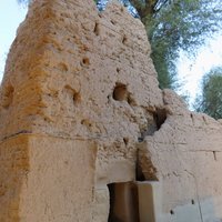 Al Qattara Oasis