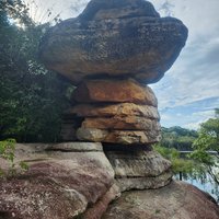 Pedra Sanduíche, Anavilhanas Reserve, Central Amazon Conservation Complex