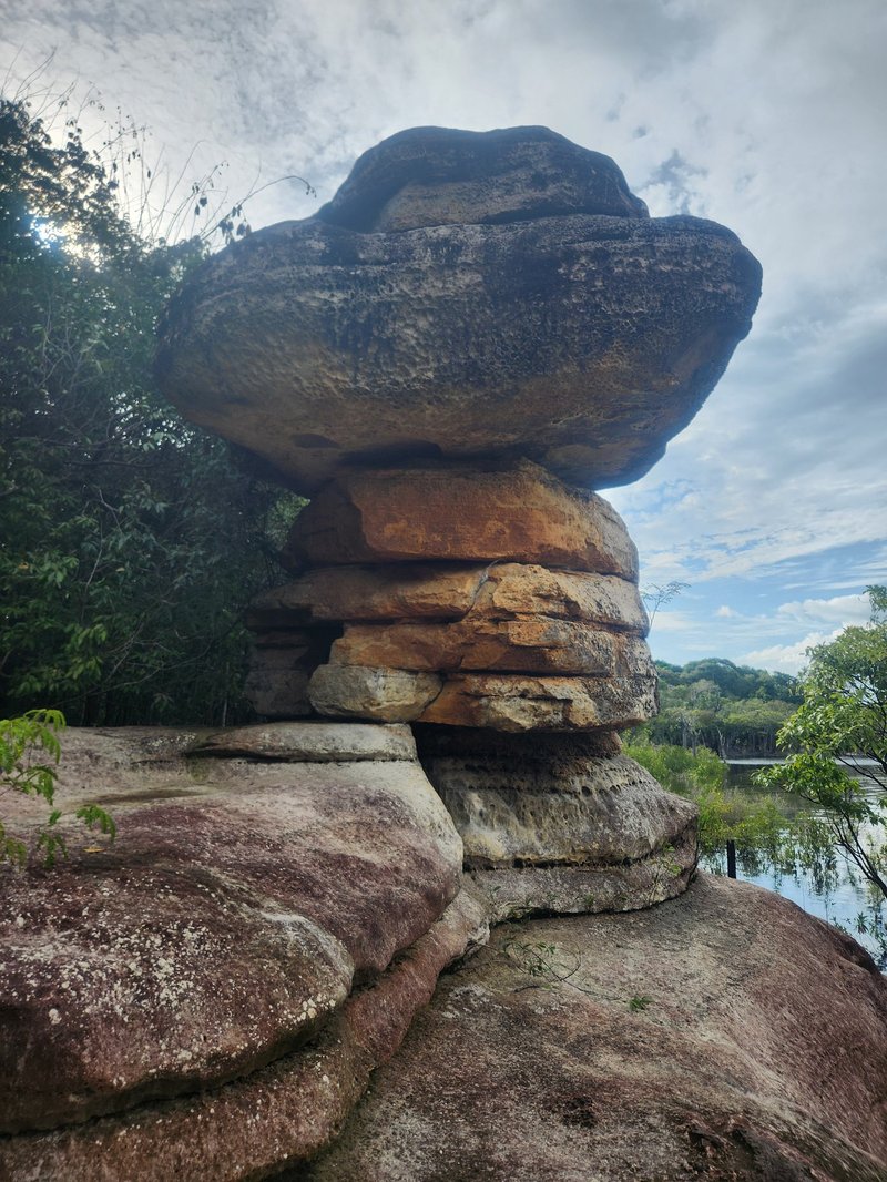 Pedra Sanduíche, Anavilhanas Reserve, Central Amazon Conservation Complex