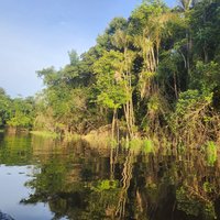 Anavilhanas Reserve, Central Amazon Conservation Complex