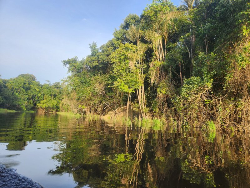 Anavilhanas Reserve, Central Amazon Conservation Complex