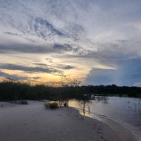 Anavilhanas Reserve, Central Amazon Conservation Complex