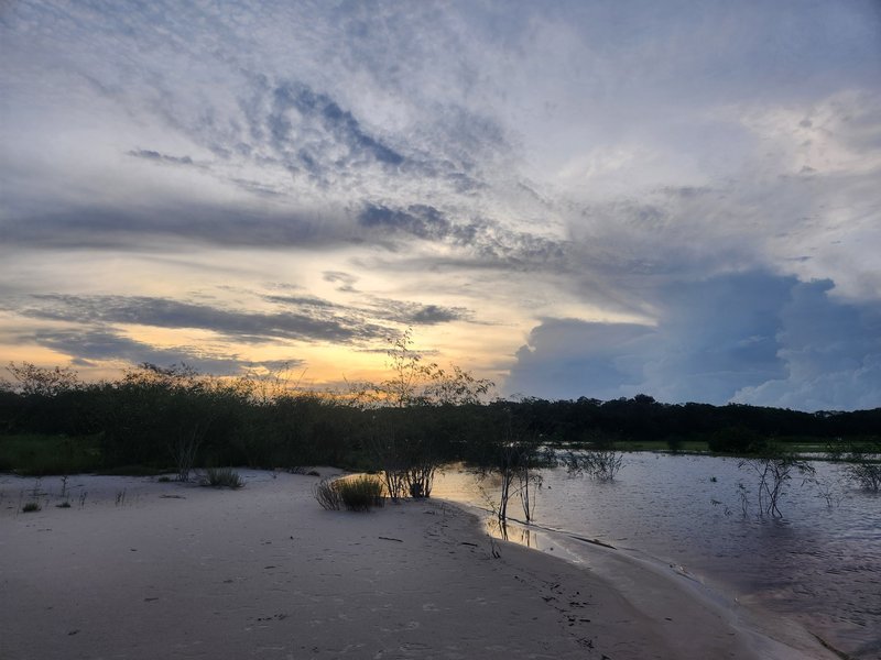 Anavilhanas Reserve, Central Amazon Conservation Complex