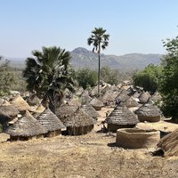 Andiel Bassari Country