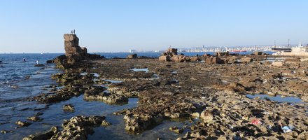 L'Ile d'Arwad