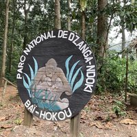 Bai Hokou