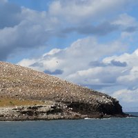 Balandra Zone (Gulf of California)