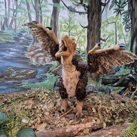 Balaur bondoc