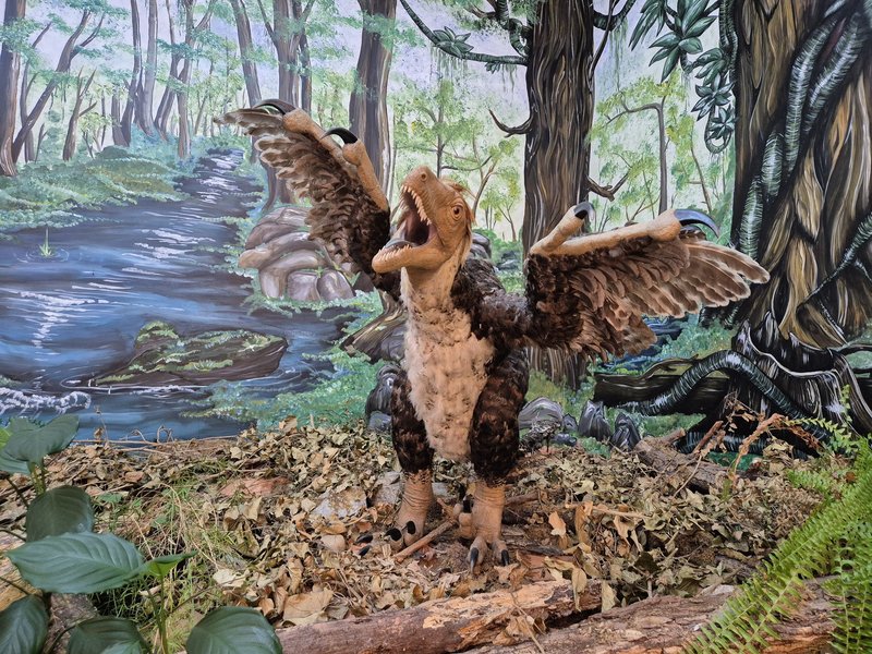 Balaur bondoc