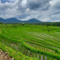 Jatiluwih Rice Terraces, Subak Landscape of Catur Angga Batukaru, Bali Subak system