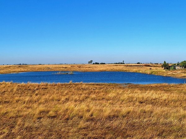 Barotse Plains landscape