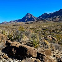 Big Bend National Park