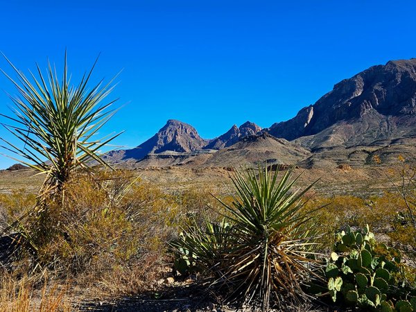 Big Bend National Park by Roman Bruehwiler