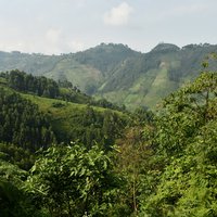 Bwindi gorillatrekking landscape