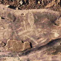 Central Kalahari Game Reserve rock art