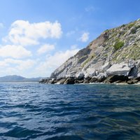 Cabo Pulmo National Park (Gulf of California)