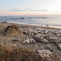 California Current Conservation Complex