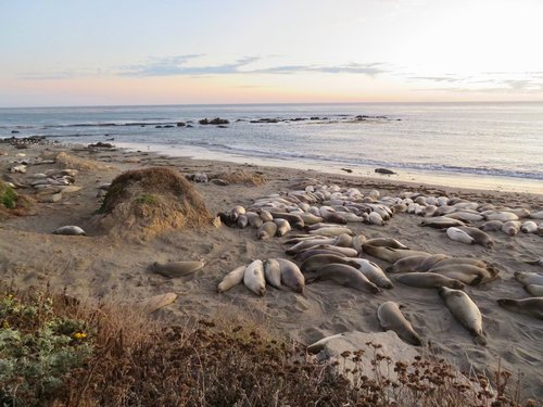 California Current Conservation Complex