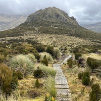 Campbell Col Lyall boardwalk