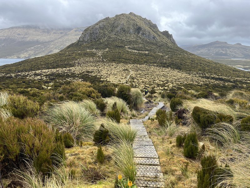 Campbell Col Lyall boardwalk