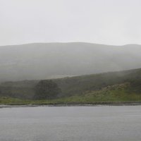 Campbell Loneliest Tree