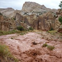 Capitol Reef National Park
