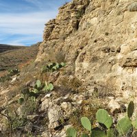 Carlsbad Caverns