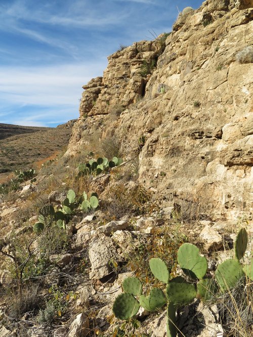 Carlsbad Caverns