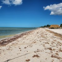 Reserva de la Biosfera Ría Celestún, Los Petenes-Ría Celestún
