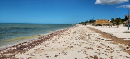 Los Petenes-Ría Celestún