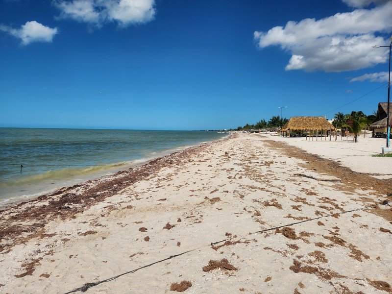 Reserva de la Biosfera Ría Celestún, Los Petenes-Ría Celestún