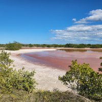 Reserva de la Biosfera Ría Celestún, Los Petenes-Ría Celestún