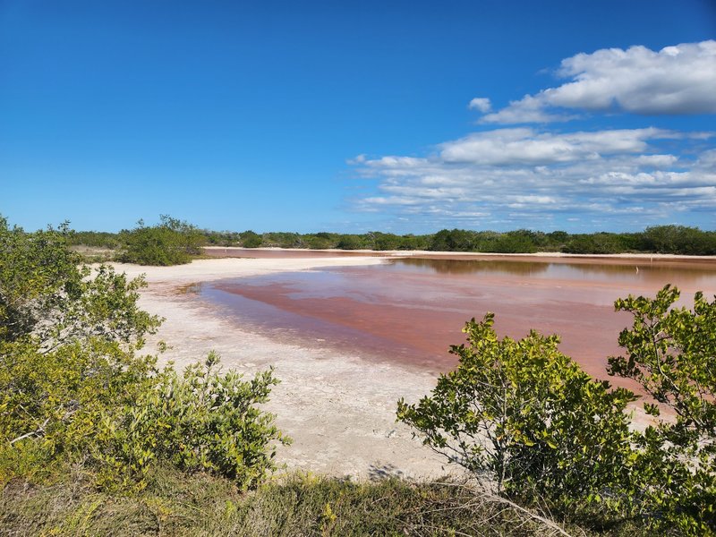 Reserva de la Biosfera Ría Celestún, Los Petenes-Ría Celestún