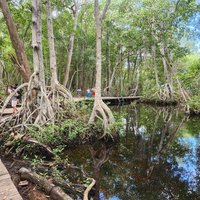Reserva de la Biosfera Ría Celestún, Los Petenes-Ría Celestún